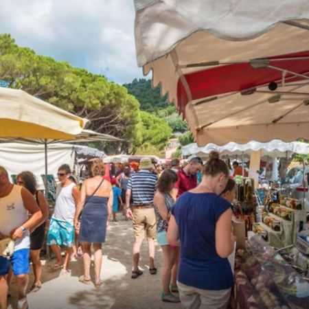 Magnifique Studio A 50M De La Plage De Cavaliere - Studio Tamarindo Le Lavandou Bagian luar foto