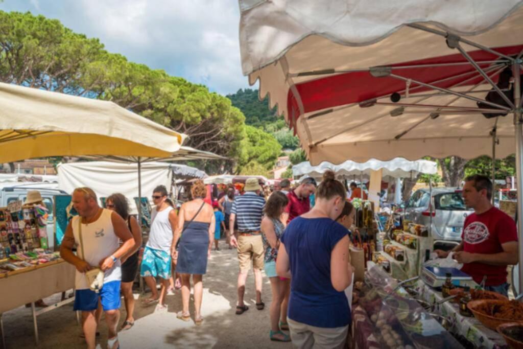 Magnifique Studio A 50M De La Plage De Cavaliere - Studio Tamarindo Le Lavandou Bagian luar foto