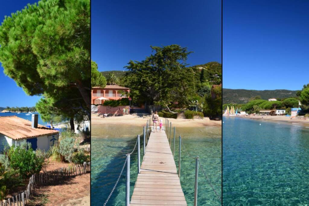 Magnifique Studio A 50M De La Plage De Cavaliere - Studio Tamarindo Le Lavandou Bagian luar foto